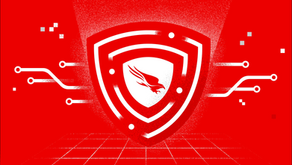 CrowdStrike Q2-Zahlen: Rekord-NNARR von 333 Mio. USD, Falcon Flex verdoppelt sich