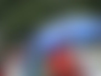 Braving the Rain: Hillingdon Stroke Support at the Mayor’s Picnic