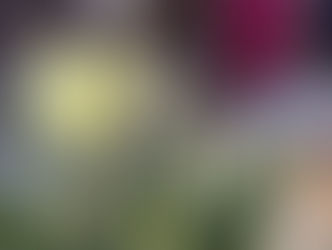 Ruislip Spring Gardening Show This Weekend – Don’t Miss Out!