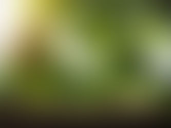 How Long Does EMDR Take to Work? What to expect when it comes to pacing, progress, and the EMDR process