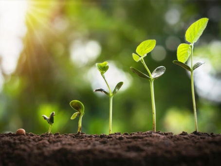 How Long Does EMDR Take to Work? What to expect when it comes to pacing, progress, and the EMDR process