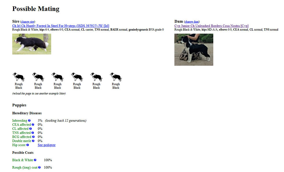 Screenshot (535)_edited.jpg