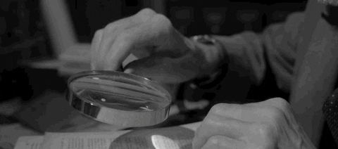 giphy (1).gif