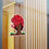 Thumbnail: “Rooted” sticker 
