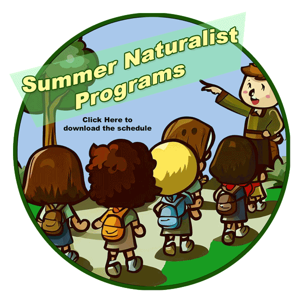 Albums 103+ Pictures Clark Reservation State Park Jamesville Ny Sharp