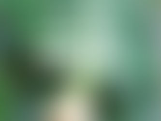 Nada muda se você não mudar