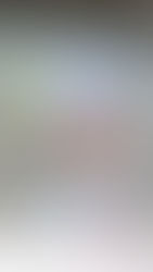 Tenha os produtos ISA Brasil no seu PDV!