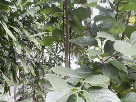 Sua maior beleza é a energia que você transmite.