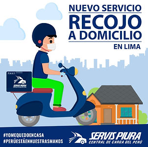 Recojos a domicilio