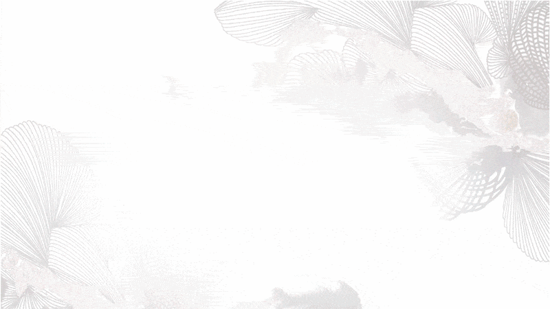 PaoPaoBespokeDesignopening.gif
