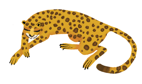 There's a Leopard in my House - Illustrated by Urvashi Dubey Published by Daffodil Lane Books Written by Daffodil Lane Books