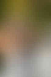 Wedding at FInley Farms in Ozark, MO by Lana Raquel Photography