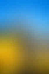 Male Senior Portrait with Plane