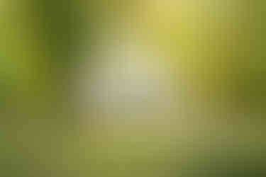 Wedding at FInley Farms in Ozark, MO by Lana Raquel Photography