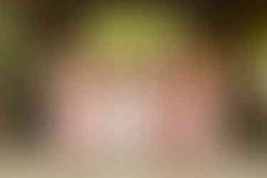 Wedding at FInley Farms in Ozark, MO by Lana Raquel Photography