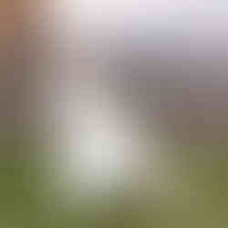 A bride in a flowing white dress stands looking over her shoulder with the chapel of the Ozarks and the Ozark Hills in the Background in Branson