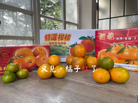 十里方圓合作社新鮮柑橘產品共同購買活動