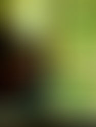 La semplicità che non è semplice - Una chiacchierata sul flamenco con Raúl Corredor 