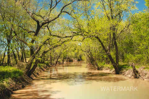 sloughs uniontown river bottoms trees forest hunting ground pond creek uc first freelance