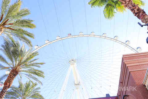 high roller ferris wheel las vegas nevada street (4).jpg
