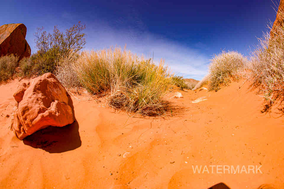 valley of fire nevada 3-22 (64).jpg