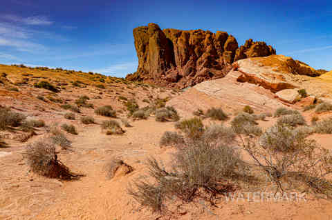 valley of fire nevada 3-22 (111).jpg