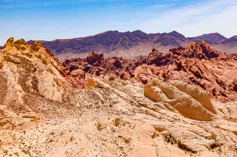 valley of fire nevada 3-22 (72).jpg