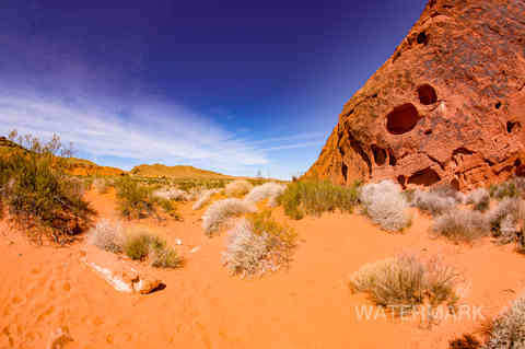 valley of fire nevada 3-22 (60).jpg