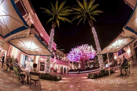 Tree of Life in West Palm Beach, Florida
tree of life; LED lights; city lights, cityplace; art installation; night photography; street photography; stock photography; fisheye lens;