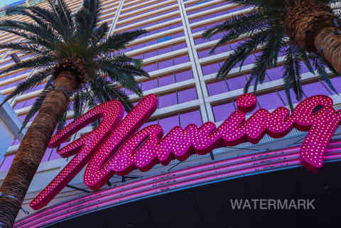 flamingo hotel pink street hotel las vegas nevada i love sugar (1).jpg
