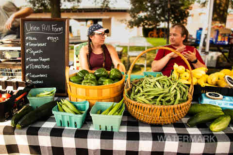 Farmer's Market in Rural Kentucky
Farm; green beans; green peppers; produce; farmer; vendor fair