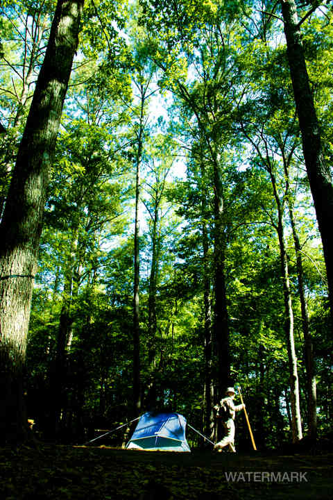 roy c manchester pfeffer scout reservation boy scount camp tent towering trees scoutmaster