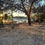 Thumbnail: Buchen pt, Homosassa FL