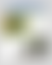 My daughter would love this Panda Lego Set