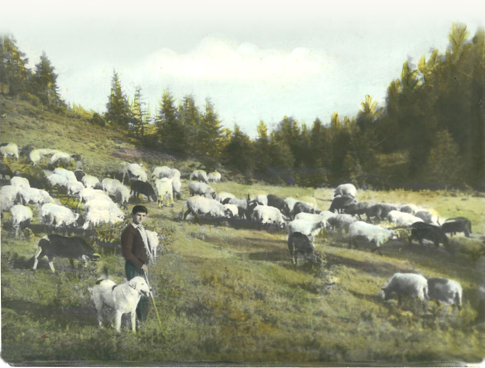 A family photograph