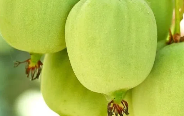 4394f672-a253-4fa6-b0d5-0c82258bfcb3