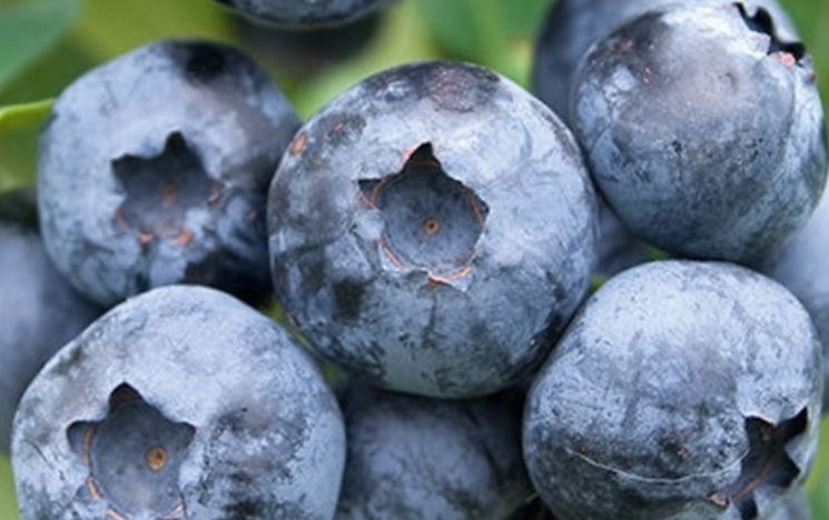 93245419-b98d-4cd3-8781-19ef09f8592a