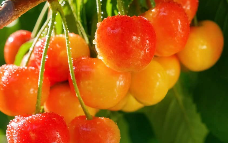 9127c798-47c1-43fa-a649-16f7da5a617c