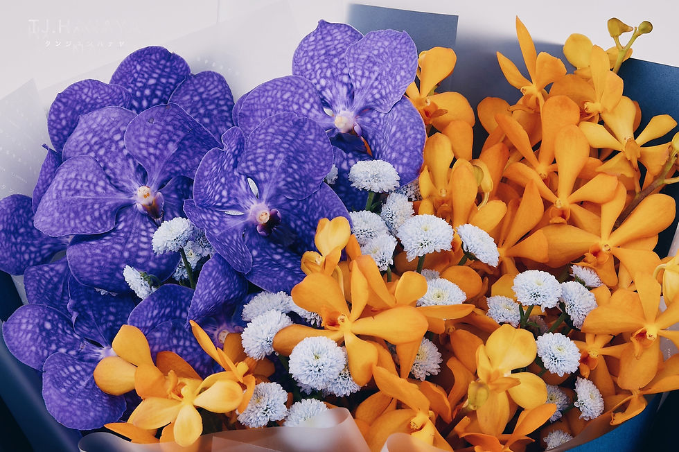 サムネイル： 【パープルジェネレーション】和の花束