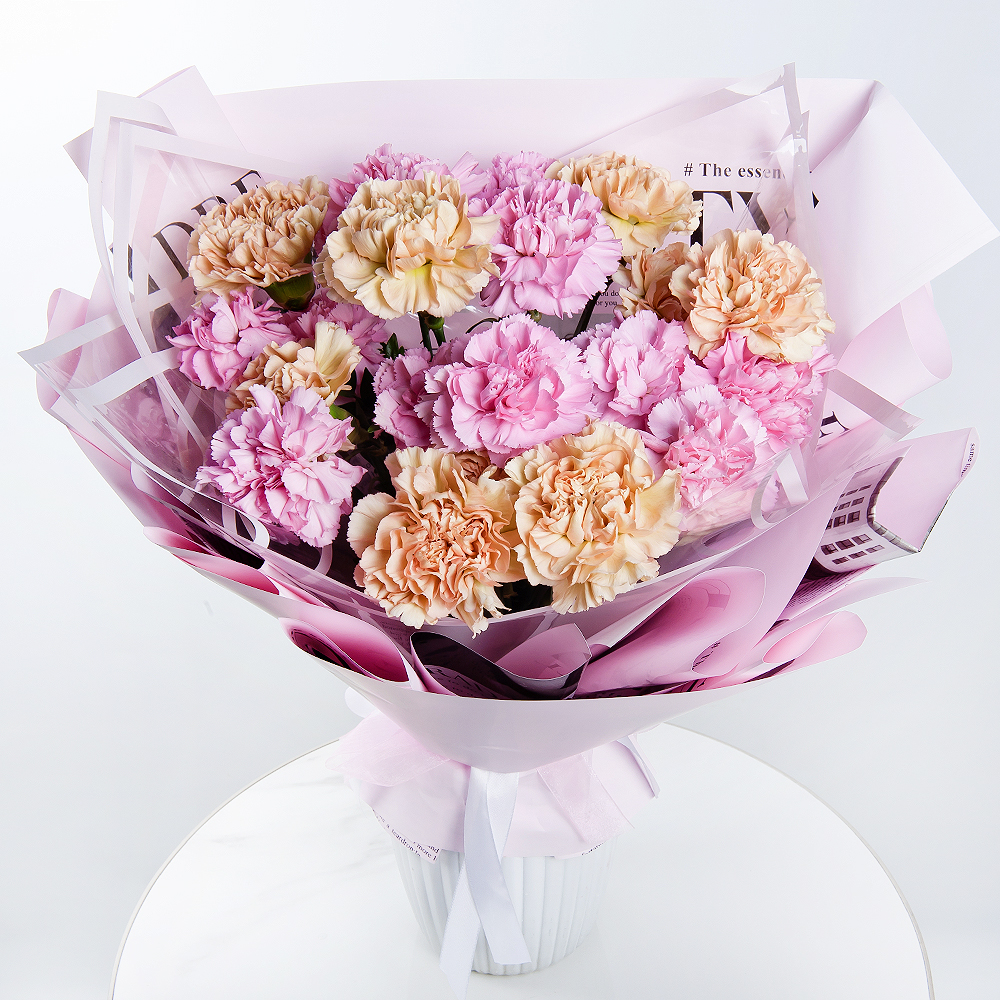 母親節雙色康乃馨鮮花