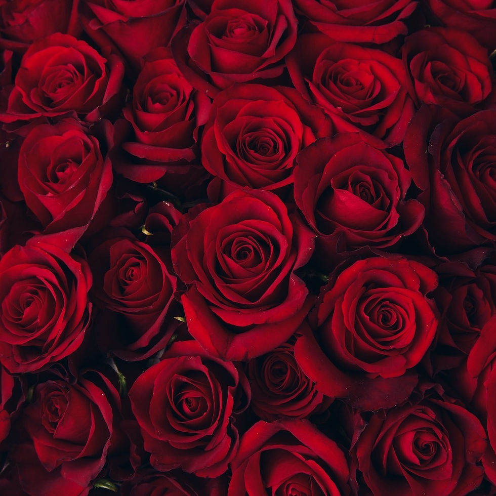 縮圖：【情詩】日式19枝紅玫瑰鮮花束
