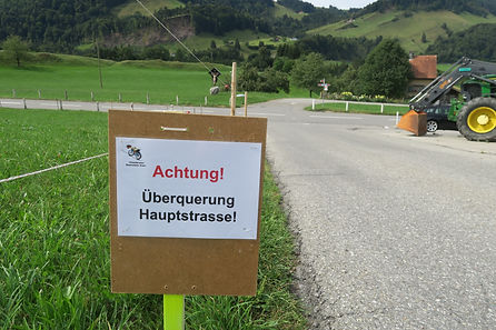 Überquerung Hauptstrasse