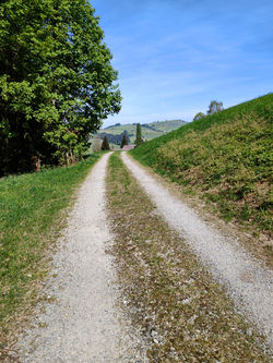 IMG20260503112802