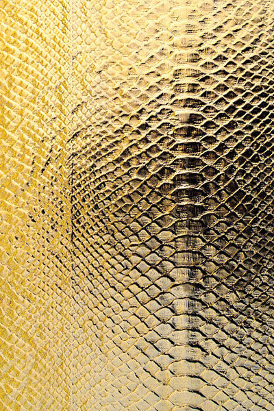 LL SNAKE Oro.jpg
