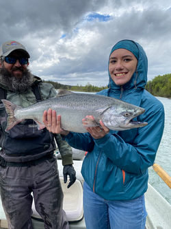 Kasilof River King Salmon