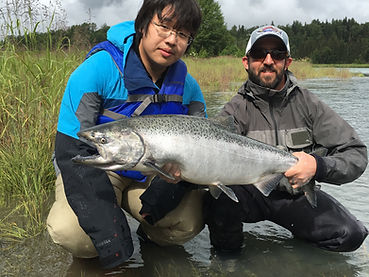 Kasilof River King Salmon