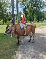 PXL_20250524_162937169.MP-EDIT.jpg
