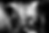 Public_Enemy_2025_06_27_Royal_Albert_Hall_London_ssuchak_060 (bw2).png
