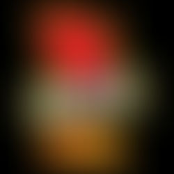 Live-stream of 2023 IFCS WAC