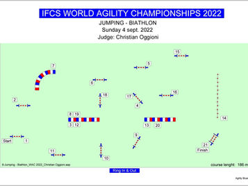 Final maps for IFCS 2022
